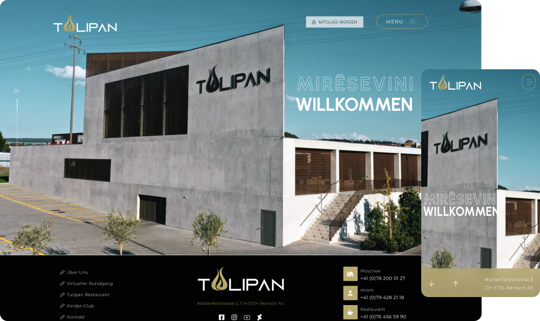 Tulipan